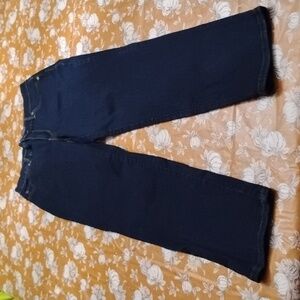 Gloria Vanderbilt Size 6 Straight Leg Amanda Style Dark Wash Denim Jeans Stretch